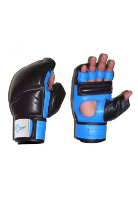 MMA Gloves
