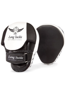 Punching Mitts