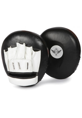 Punching Mitts