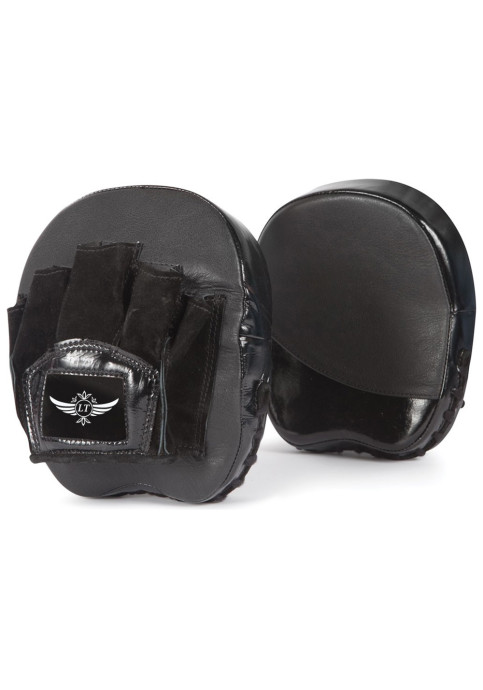 Punching Mitts