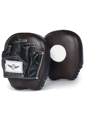 Punching Mitts