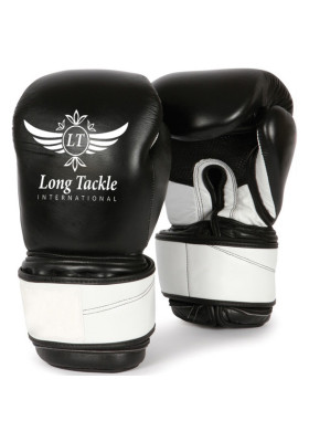 Boxing Gloves